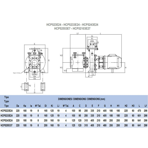     Hayward HCP 5243E24 (380V, 33 ./)