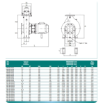     Bombas PSH Aquatic Park AP 150-315/C, 30kW, 380V