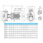    IMP ECL 65-130/4/1.5K/L/D/2TT