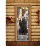    DoorWood () 70x170   A061 