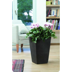   () Keter Rattan Planter M 55,4L,  