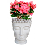   () Idealist Face Planter  (BUD-FP-AW-19)