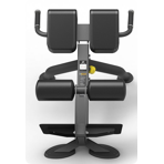   Spirit Fitness SP-4220    45 