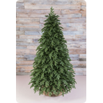    Triumph Tree  215  FULL PE 